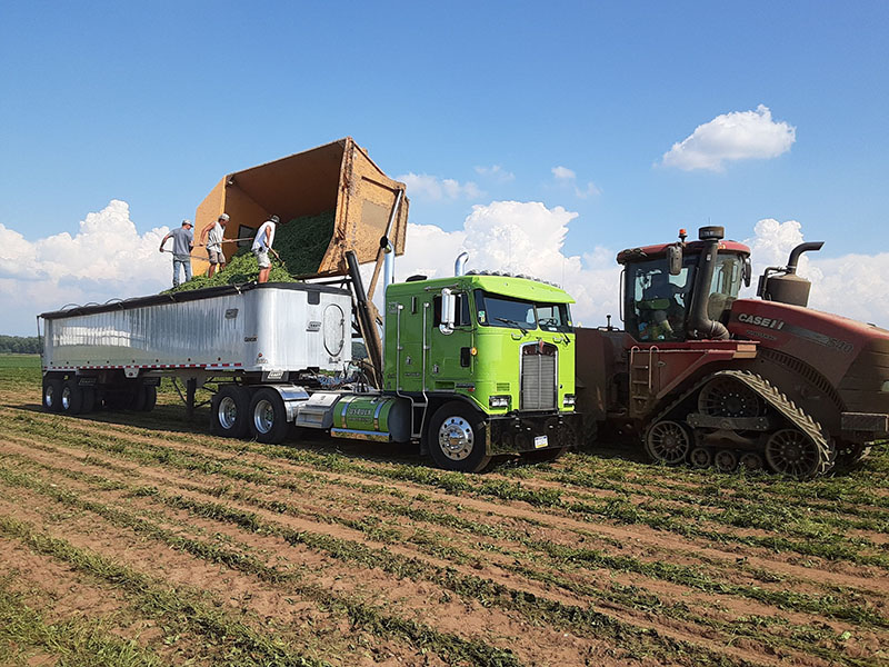 agricultural dry bulk